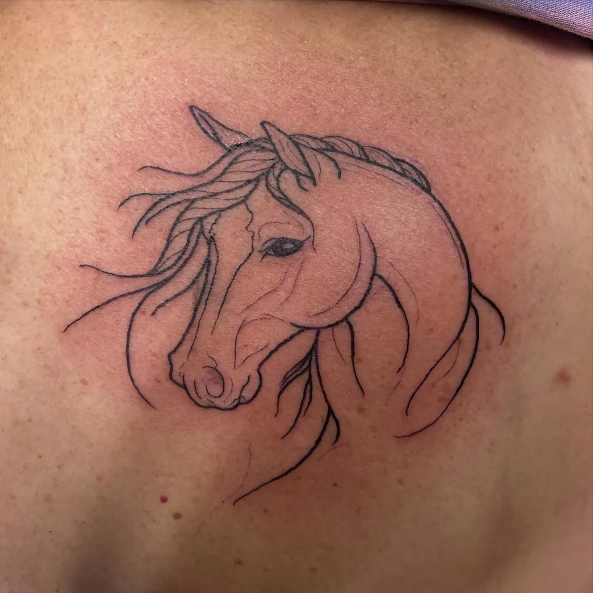 Fine line horse portrait on the shoulder